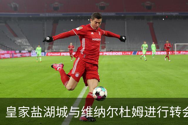 皇家盐湖城与维纳尔杜姆进行转会谈判，但尚无成果